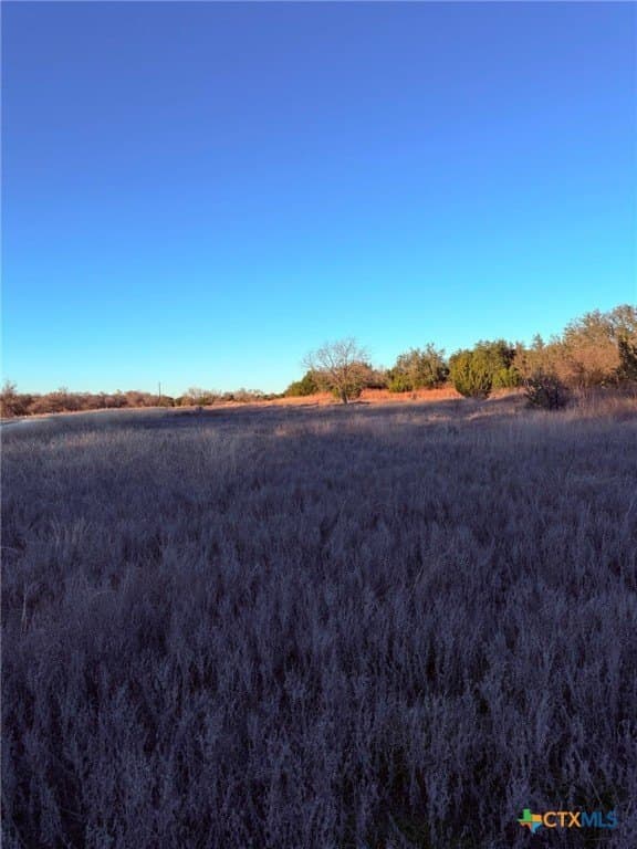 10.01 acres in Lampasas County - photo 6