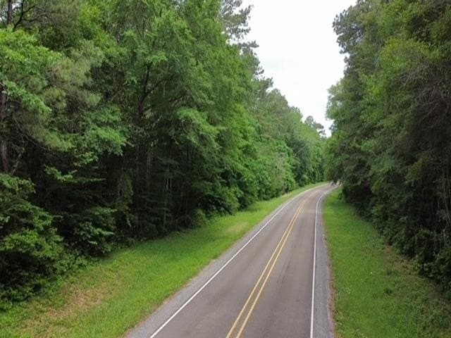 11.06 acres in Texas County gallery image 4