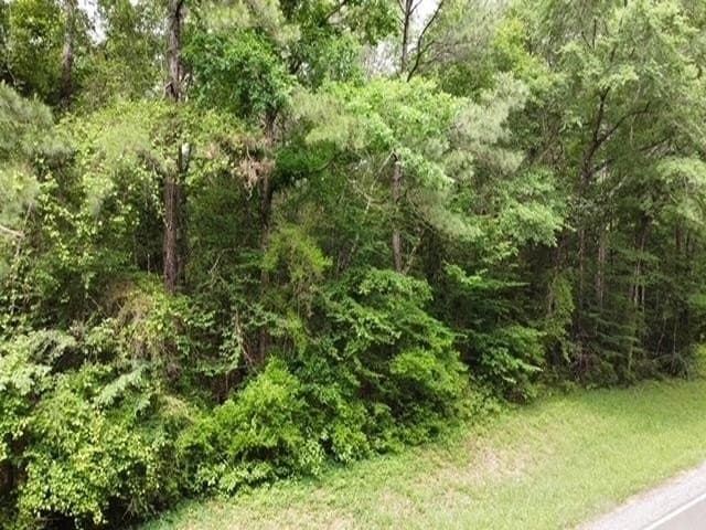 11.06 acres in Texas County gallery image 3