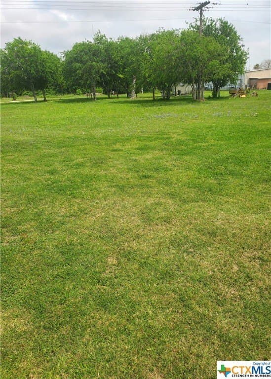 0.54 acres in Calhoun County - photo 12