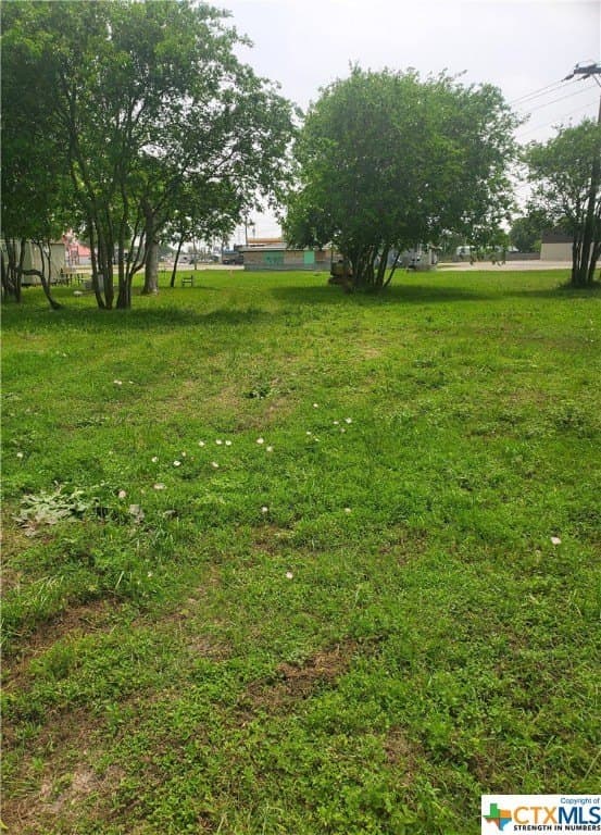 0.54 acres in Calhoun County - photo 5