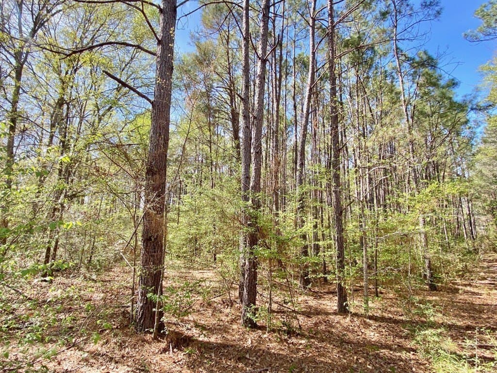 28.25 acres in Texas County - photo 12