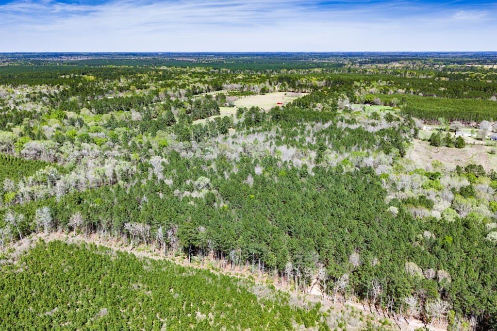 28.25 acres in Texas County - photo 8