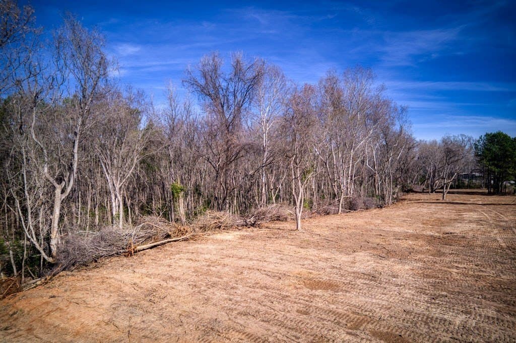 20.69 acres in ANDERSON County gallery image 4