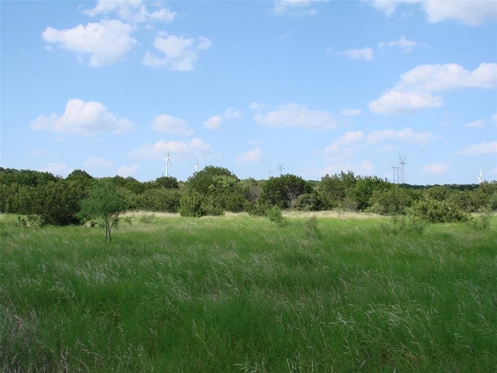 1,097.24 acres in Taylor County