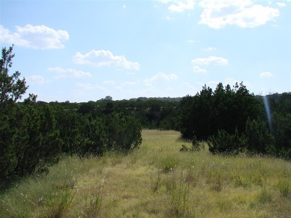 1,097.24 acres in Taylor County gallery image 3