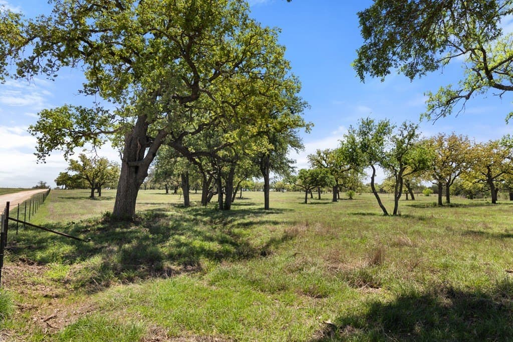 583 acres in Blanco County gallery image 3