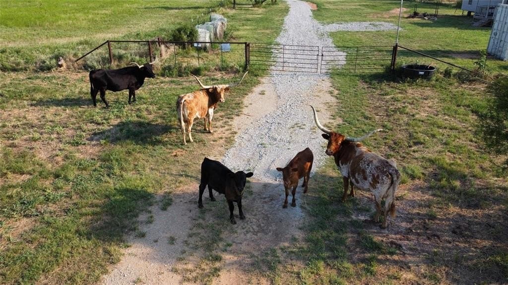 169.14 acres in Young County gallery image 3