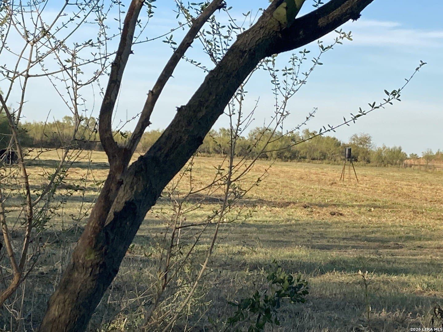 66.86 acres in La Salle County - photo 8