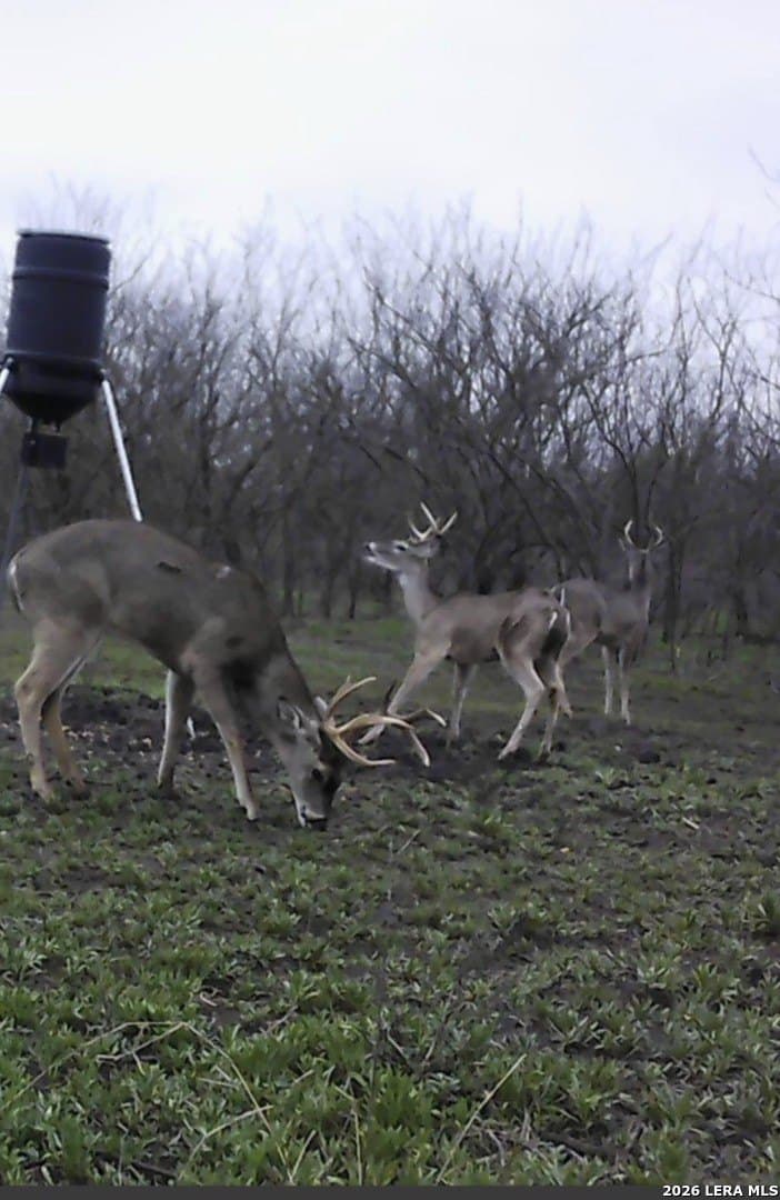 66.86 acres in La Salle County - photo 12