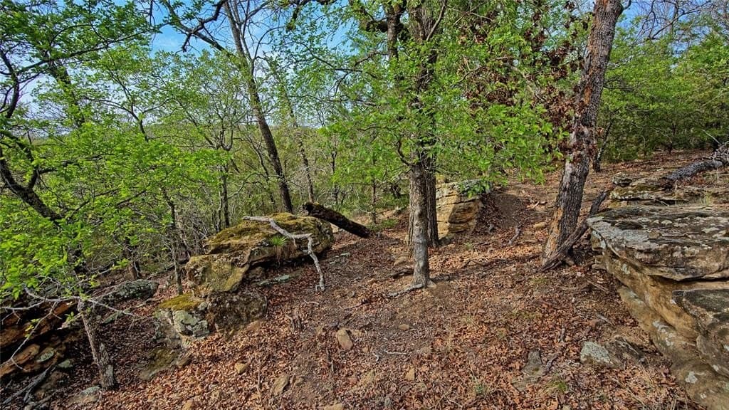 4.02 acres in Montague County gallery image 4