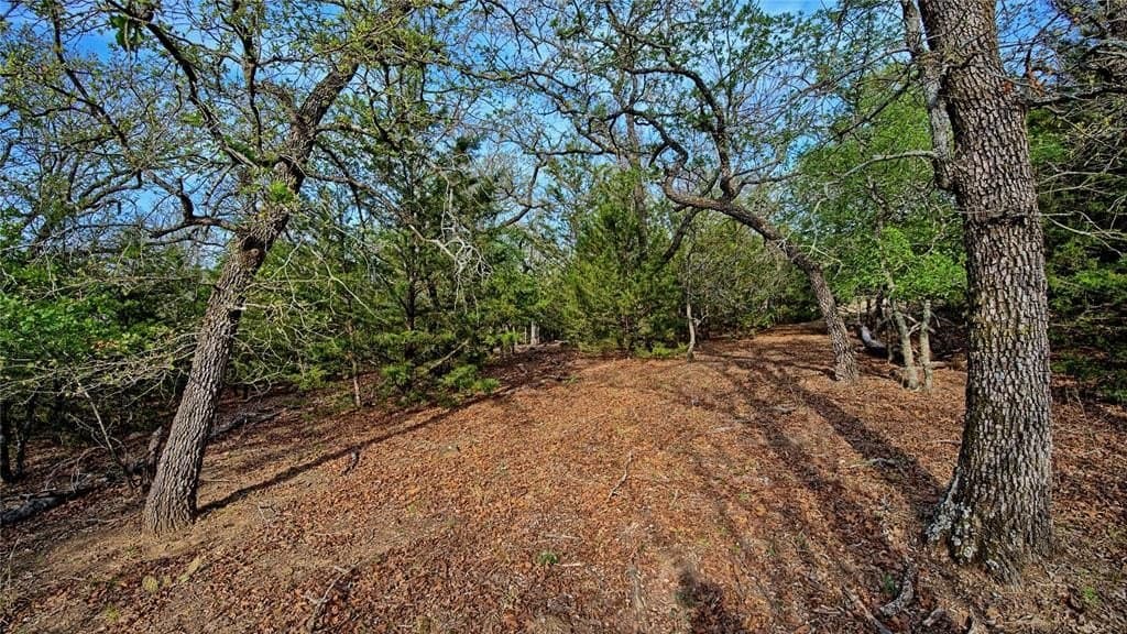 4.02 acres in Montague County featured view