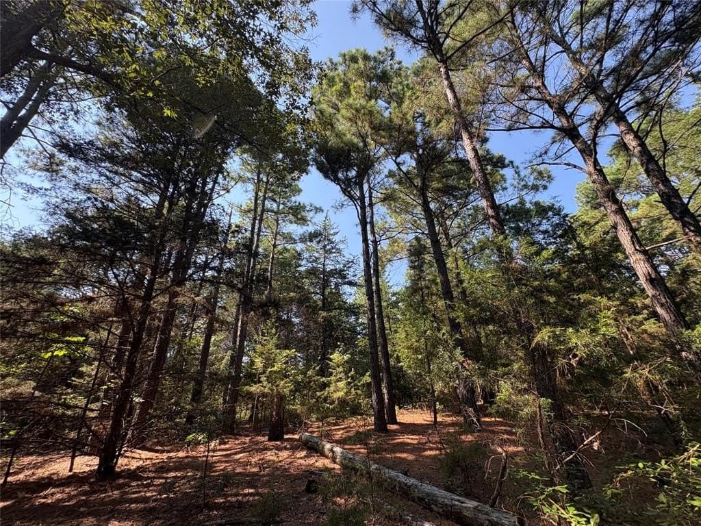 42.18 acres in Wood County