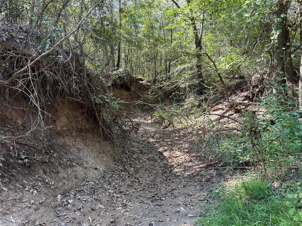 42.18 acres in Wood County gallery image 4