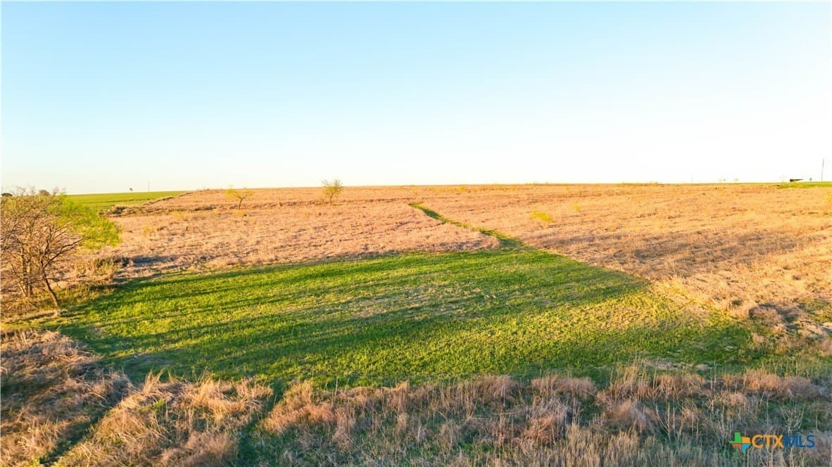 17.5 acres in Bell County gallery image 4
