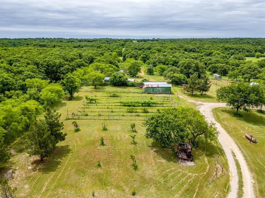 86.99 acres in Jack County gallery image 4