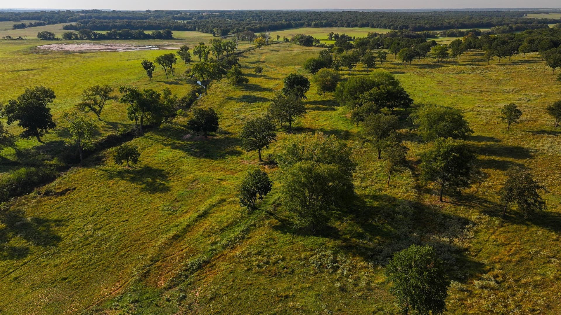 277 acres in Montague County - photo 22