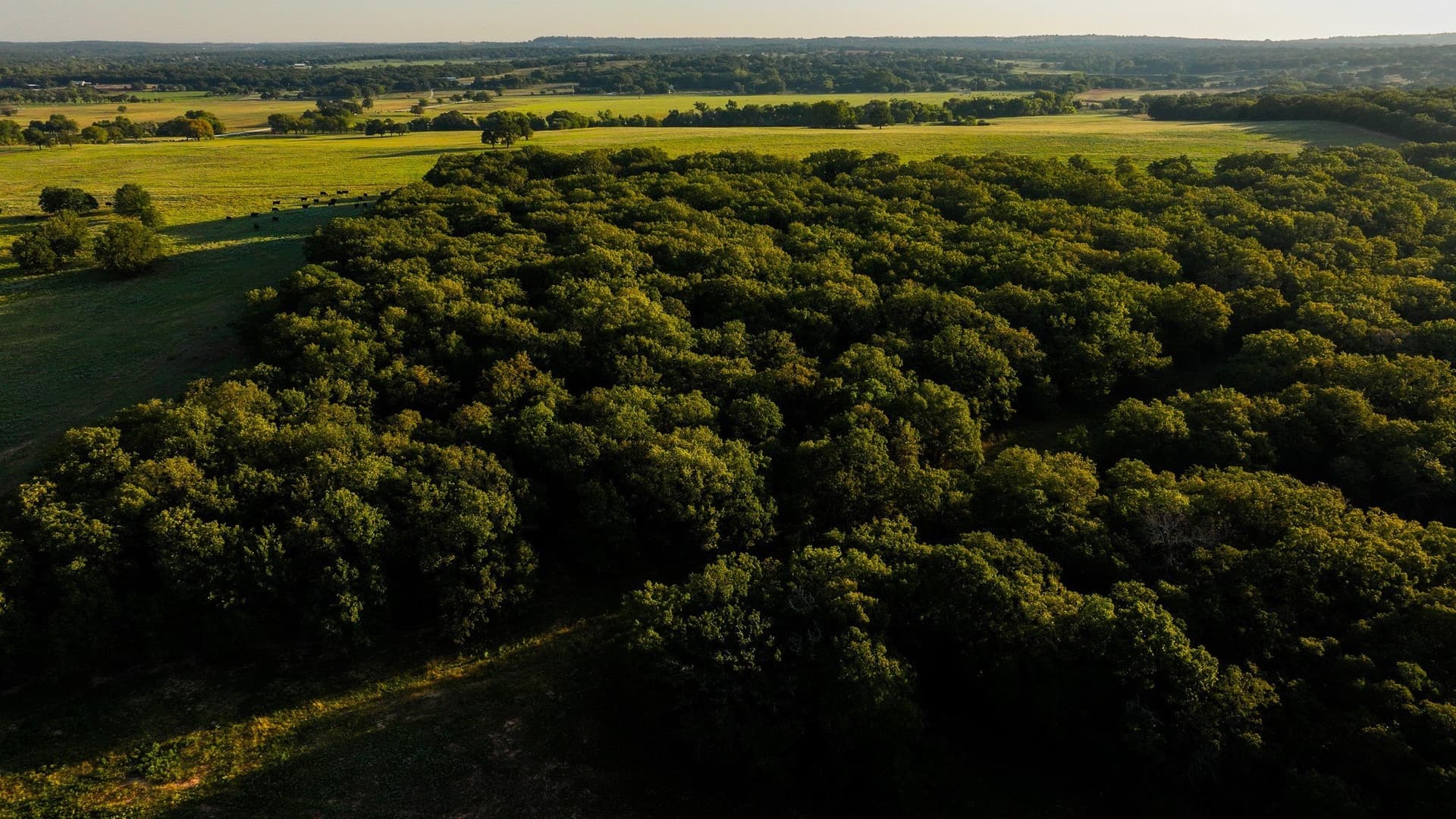 277 acres in Montague County - photo 21
