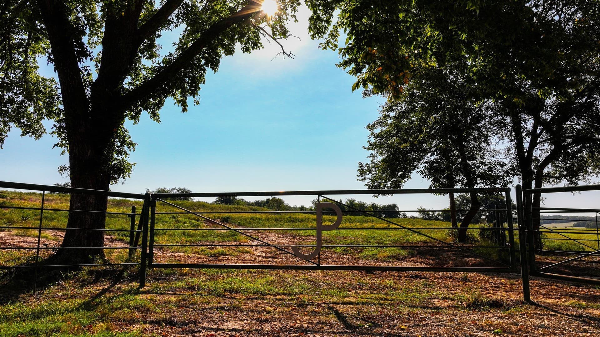277 acres in Montague County gallery image 2