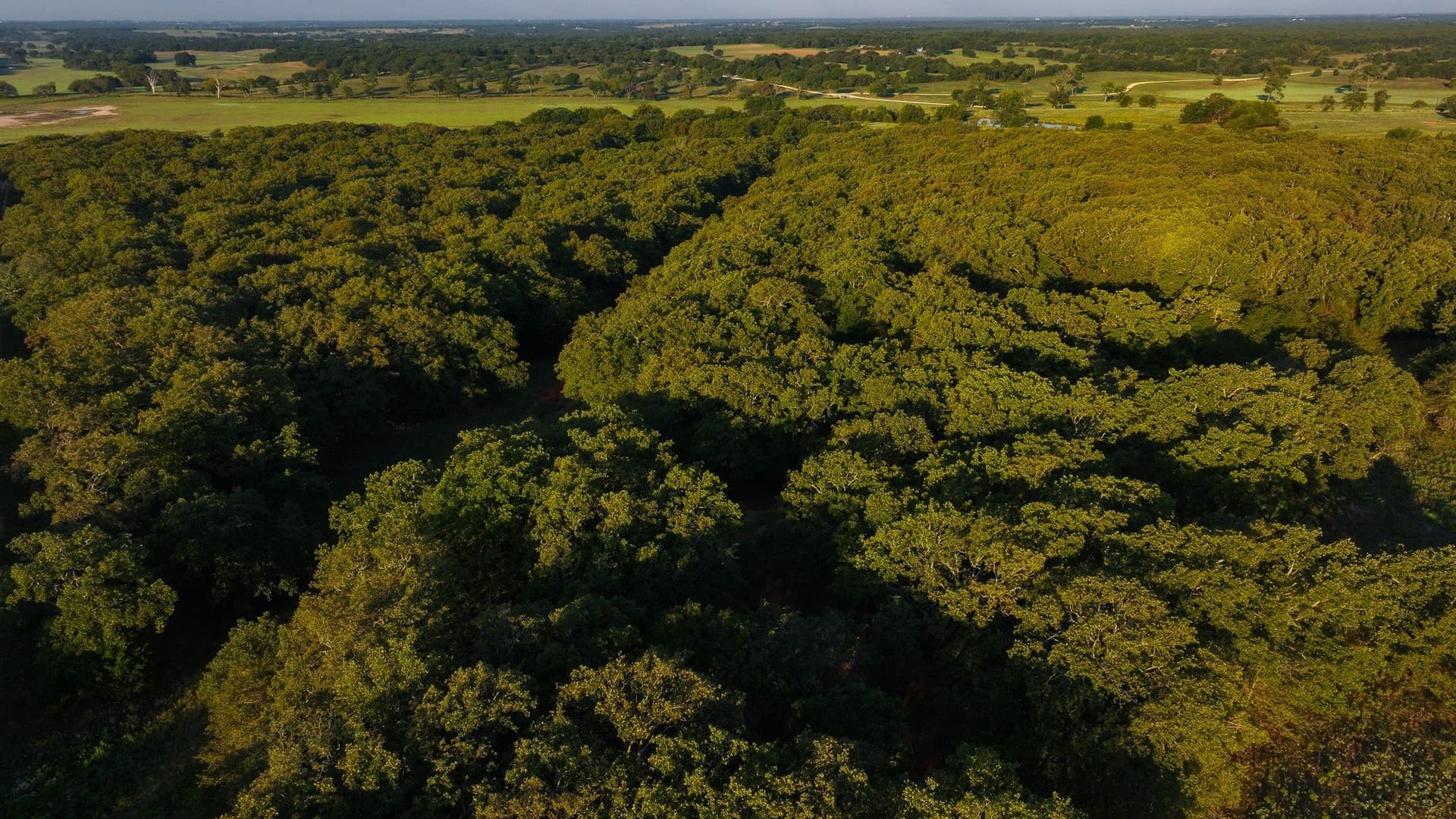 277 acres in Montague County - photo 20