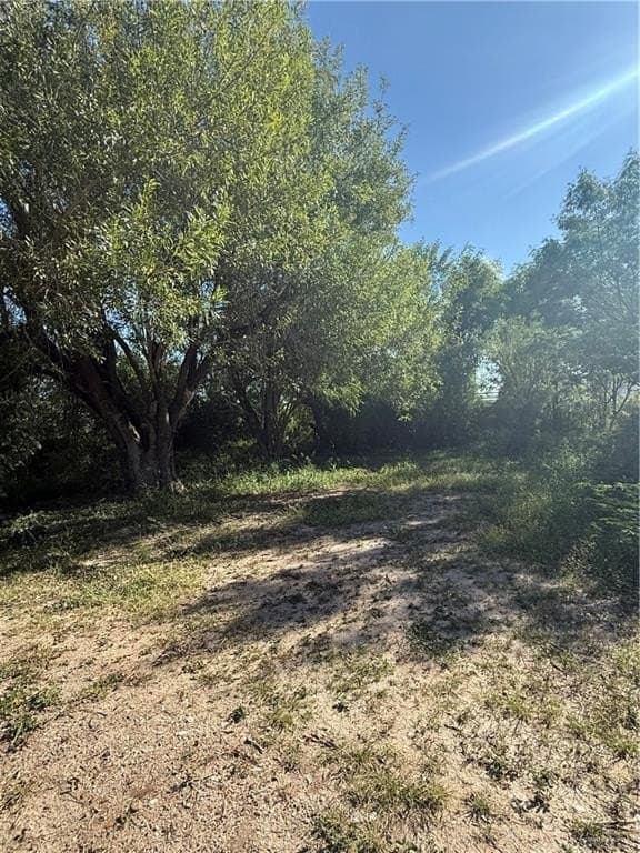 0.07 acres in Hidalgo County gallery image 2