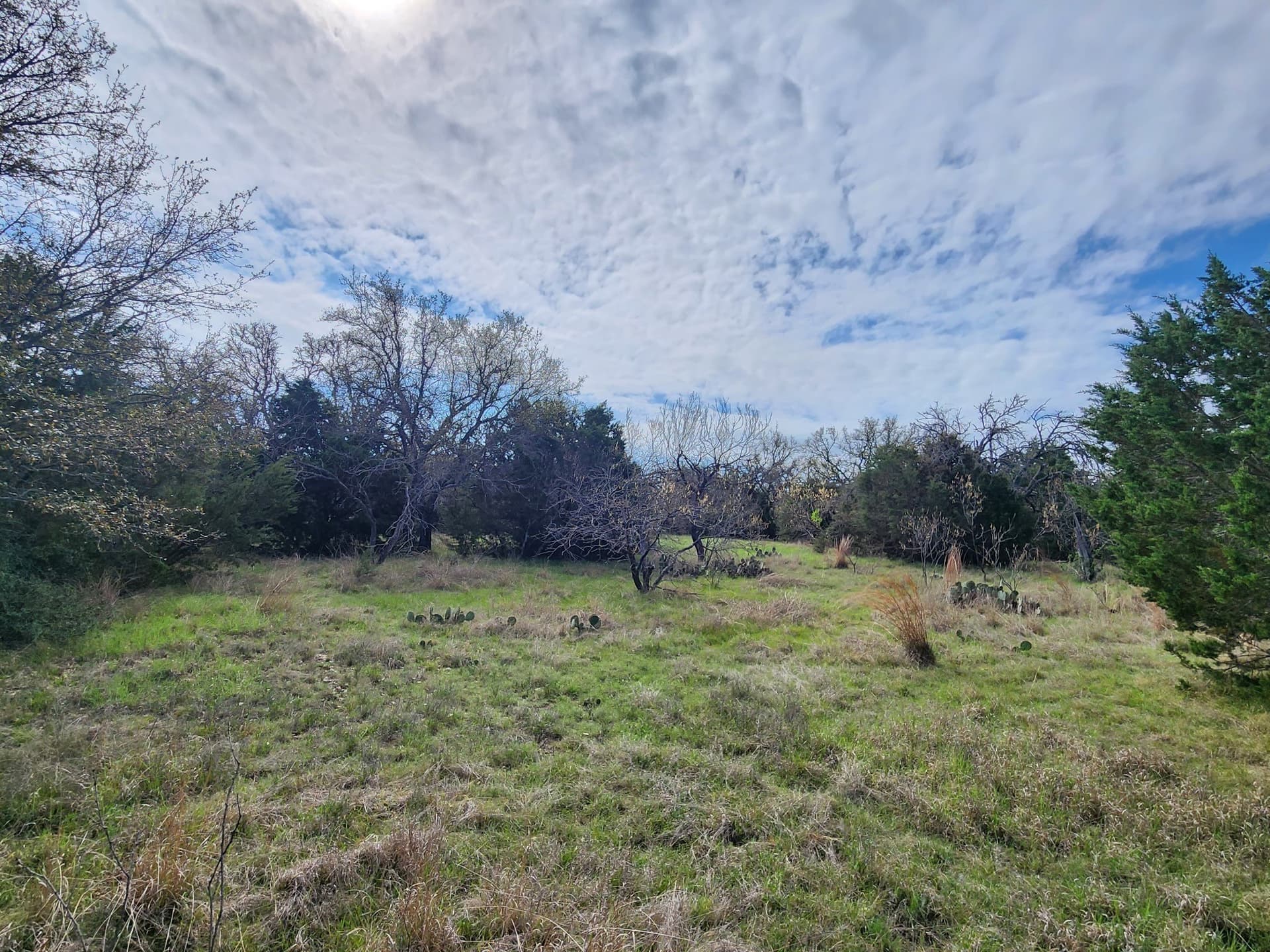10.21 acres in Mills County - photo 4