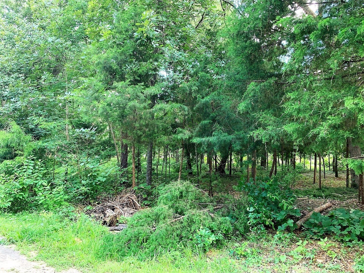 0.08 acres in Cherokee County - photo 7