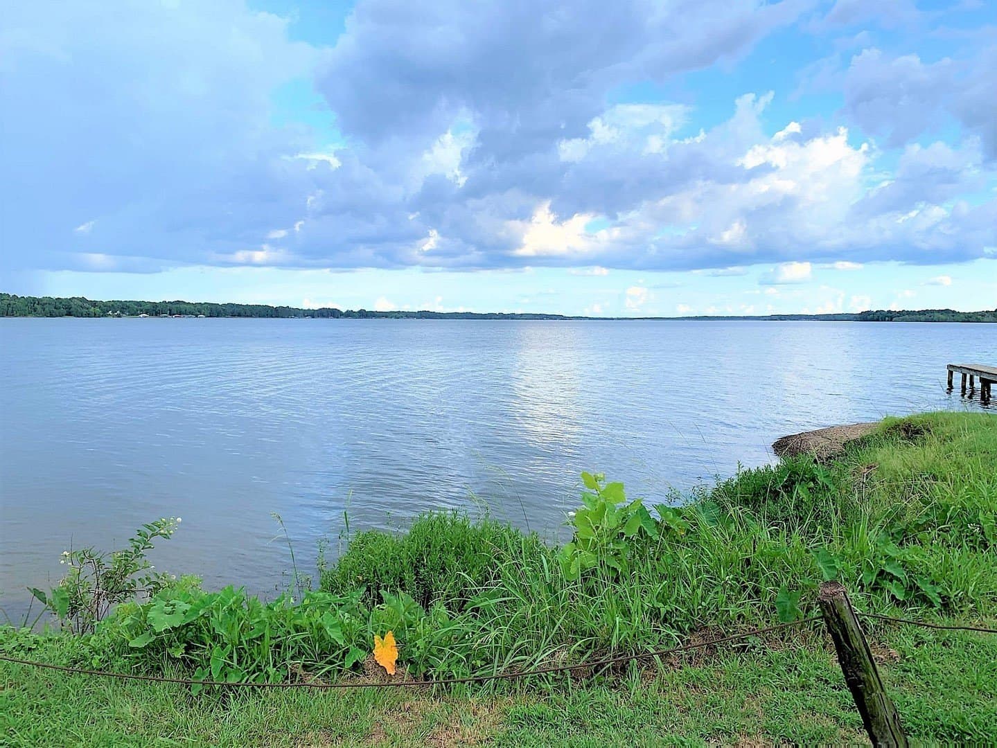 0.08 acres in Cherokee County - photo 15