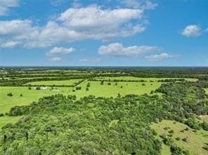 56.73 acres in Hopkins County gallery image 4