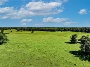 56.73 acres in Hopkins County featured view