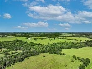 56.73 acres in Hopkins County gallery image 3