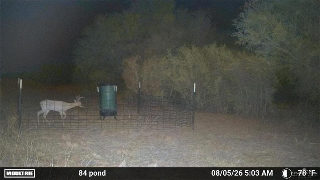 84 acres in Zapata County - photo 11