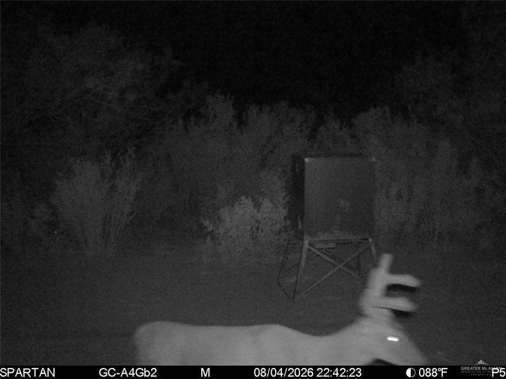 84 acres in Zapata County - photo 8