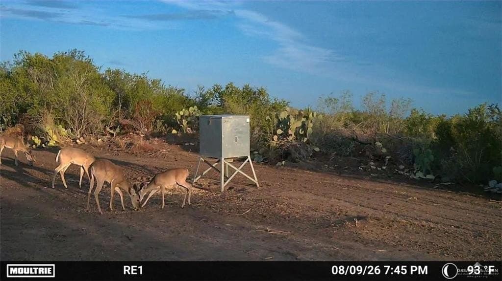 84 acres in Zapata County - photo 8