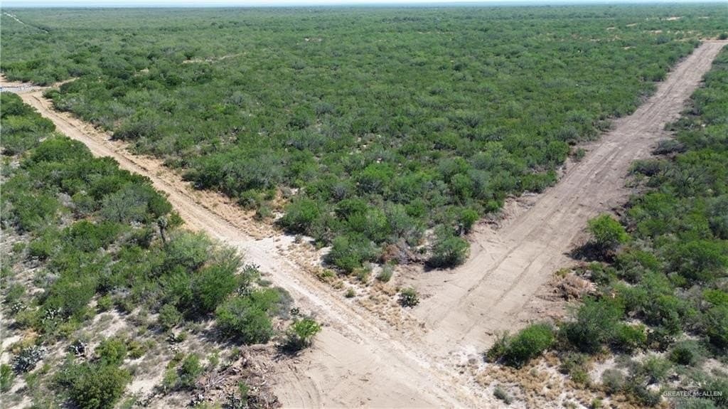 84 acres in Zapata County - photo 10