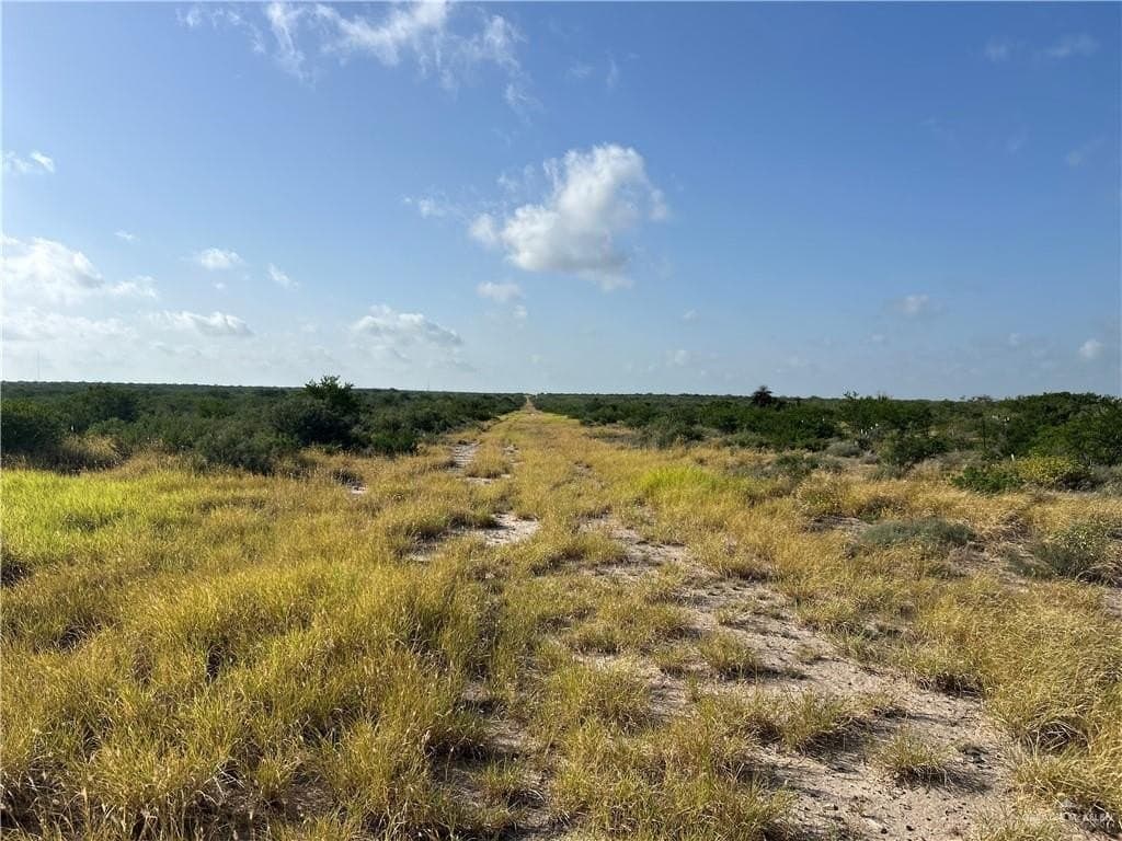 84 acres in Zapata County - photo 16