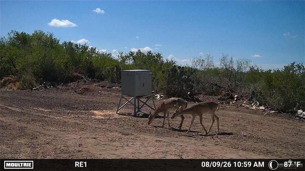 84 acres in Zapata County - photo 4