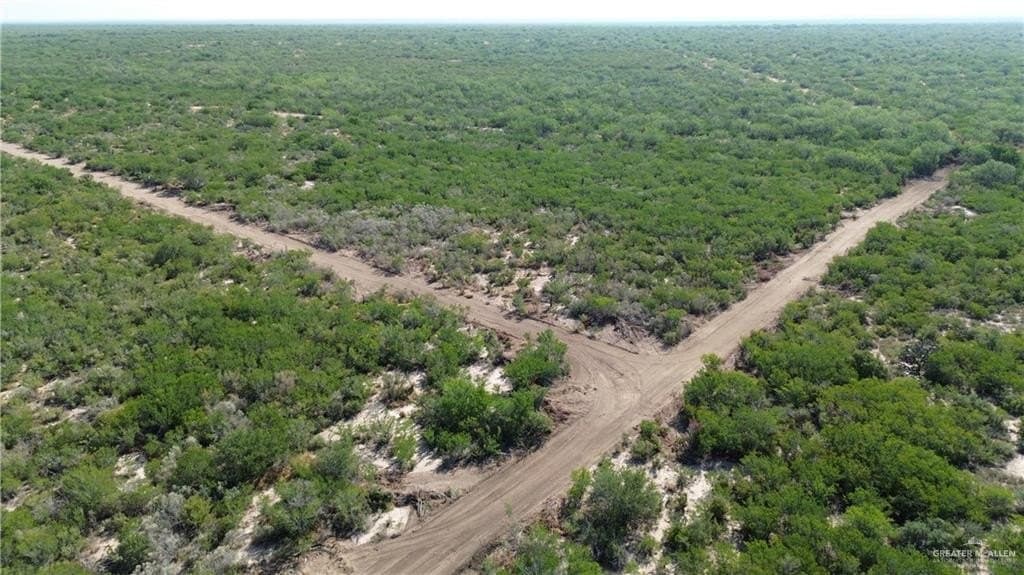84 acres in Zapata County - photo 7