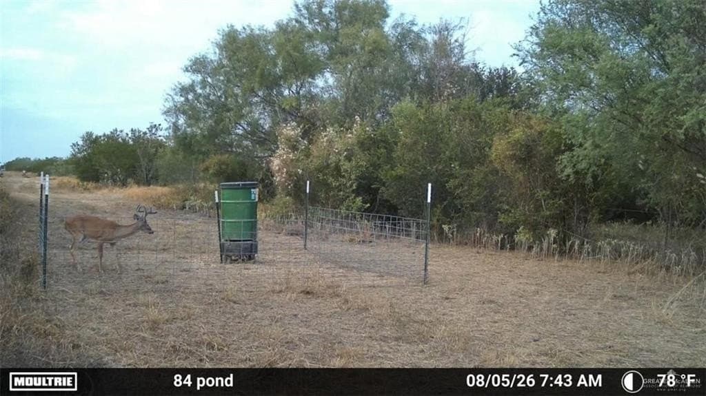 84 acres in Zapata County - photo 17