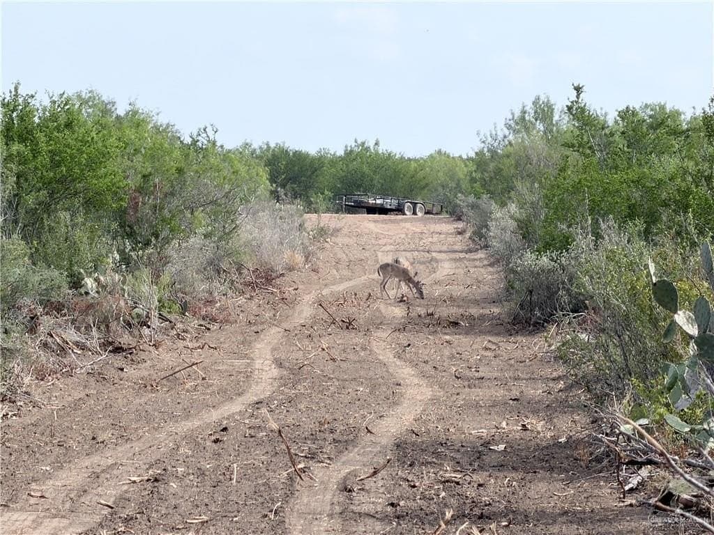 84 acres in Zapata County - photo 4