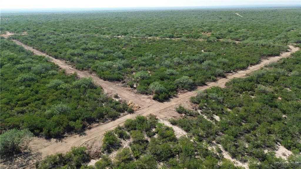 84 acres in Zapata County - photo 15