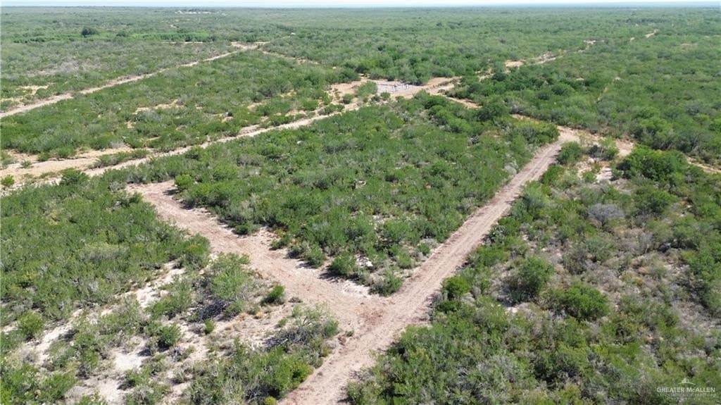 84 acres in Zapata County - photo 6