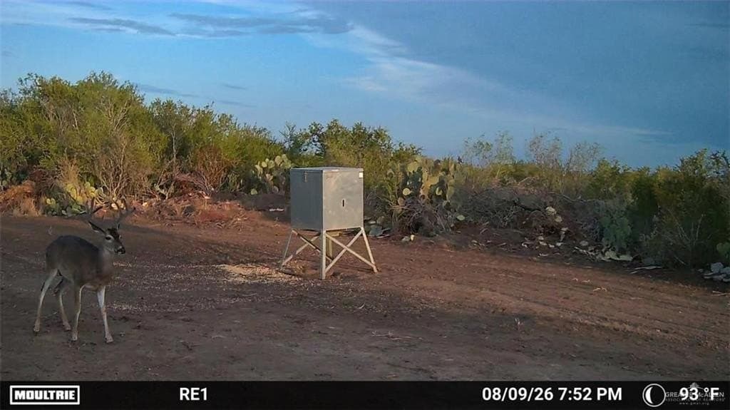 84 acres in Zapata County - photo 18