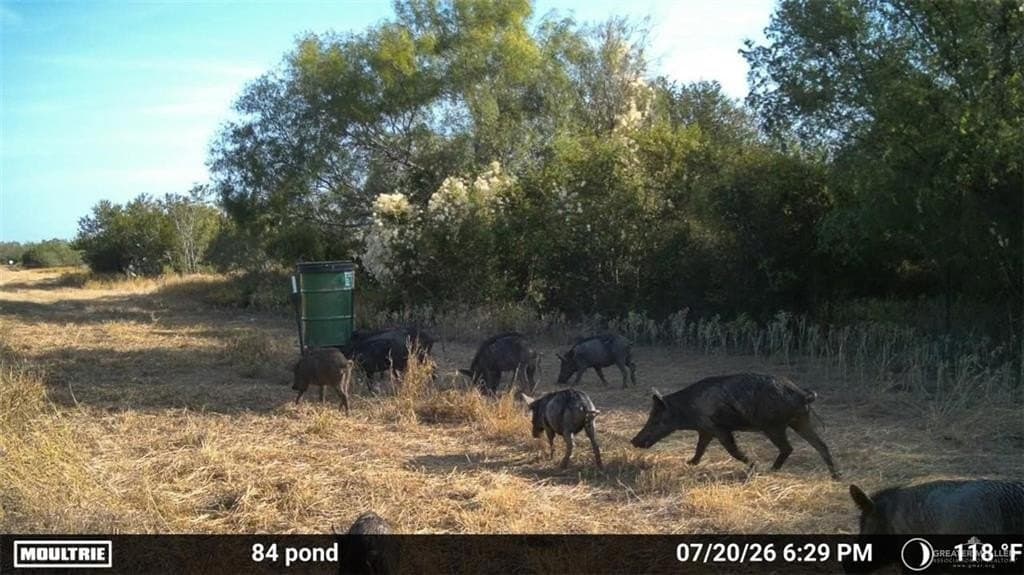 84 acres in Zapata County - photo 19