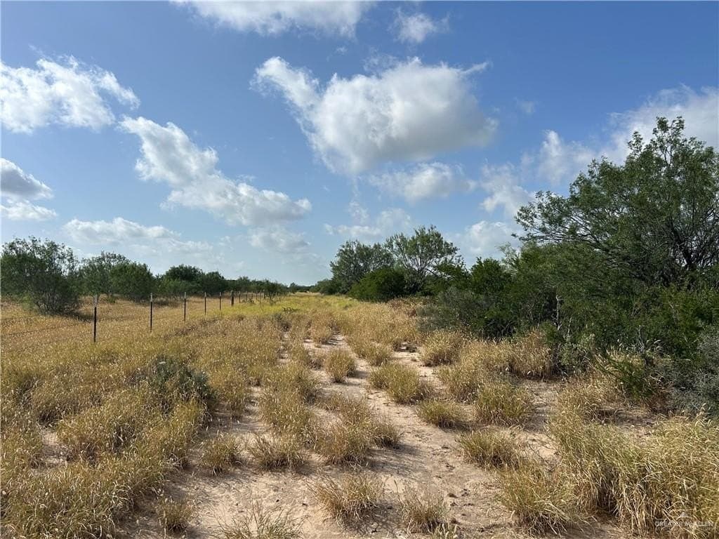 84 acres in Zapata County - photo 20