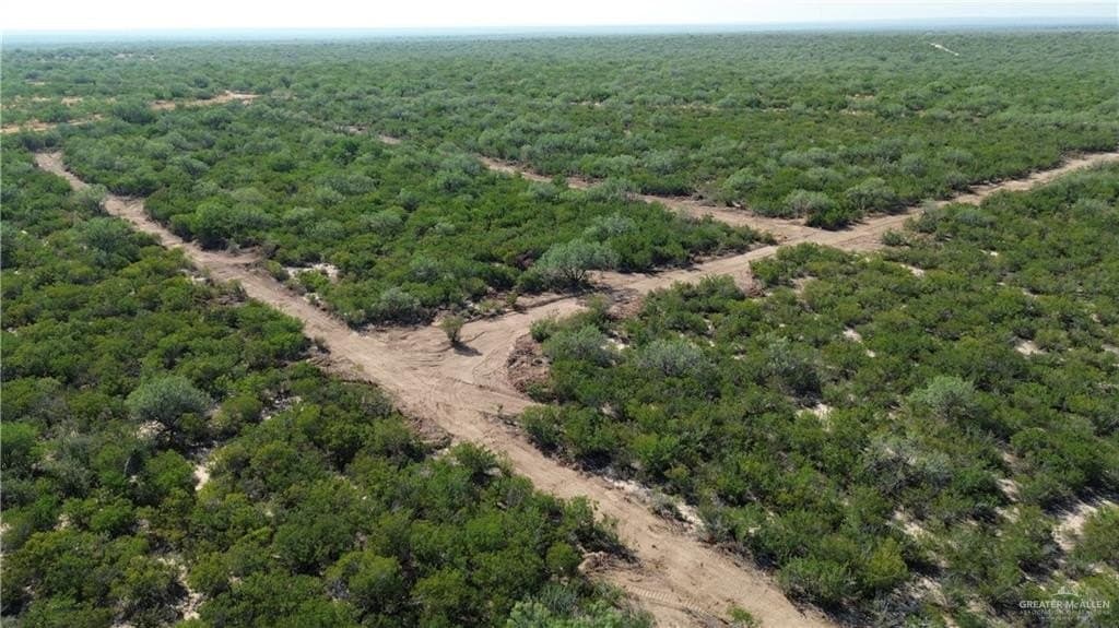 84 acres in Zapata County - photo 14
