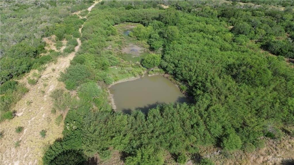 84 acres in Zapata County - photo 2