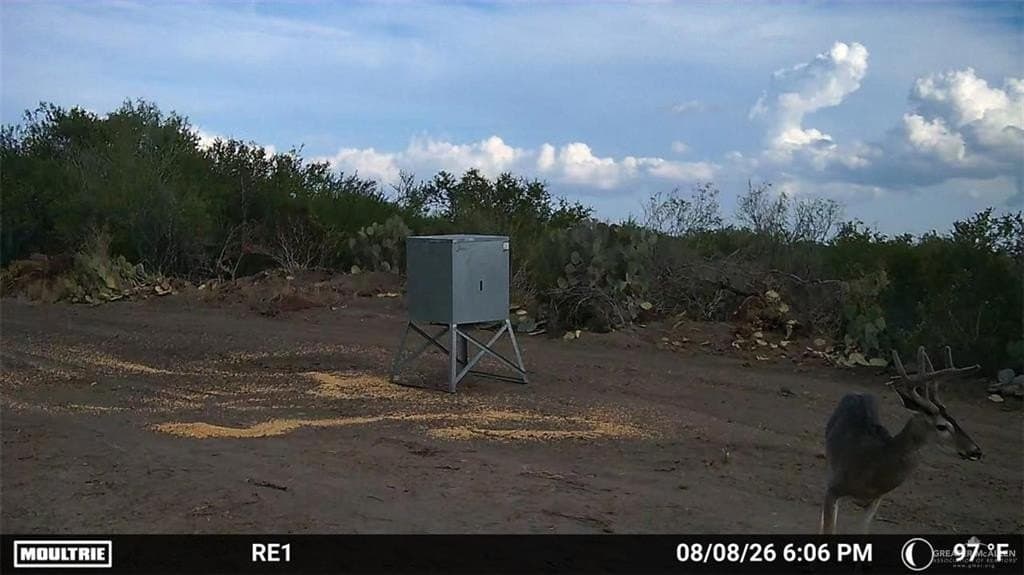 84 acres in Zapata County - photo 7
