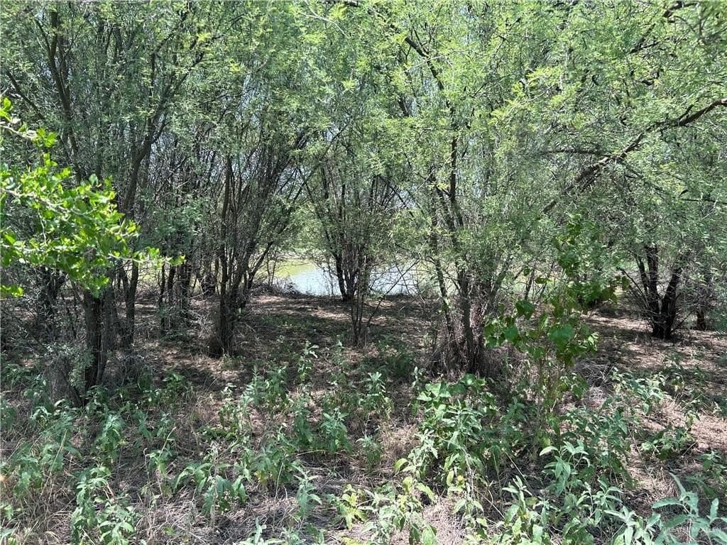 84 acres in Zapata County