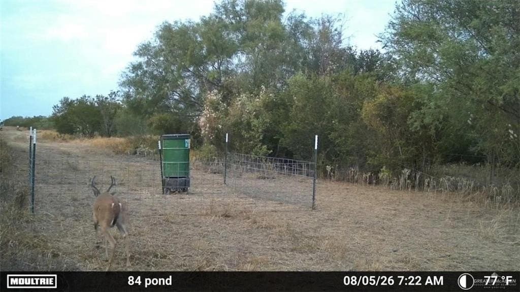 84 acres in Zapata County - photo 13